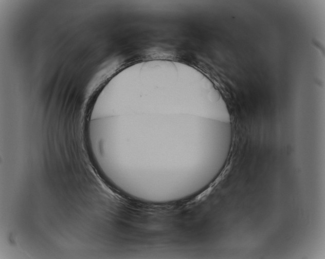 X0000098040245200804251046