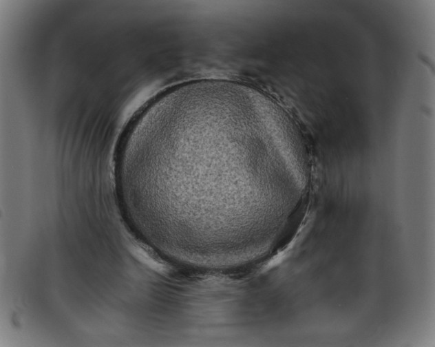 X0000098040246200804251046