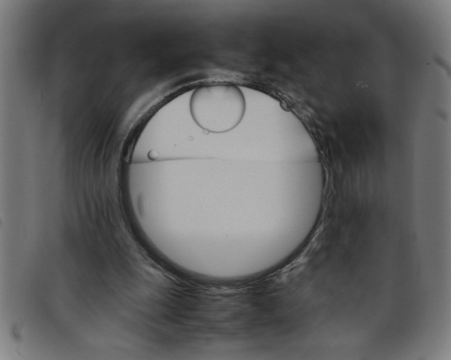 X0000098040247200804251046