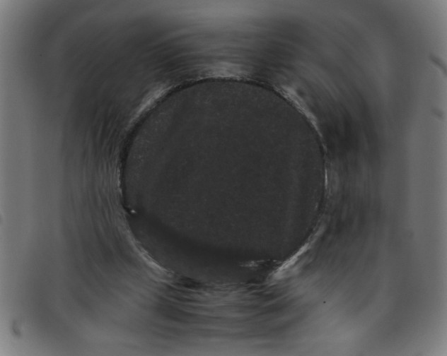 X0000098040249200804251046