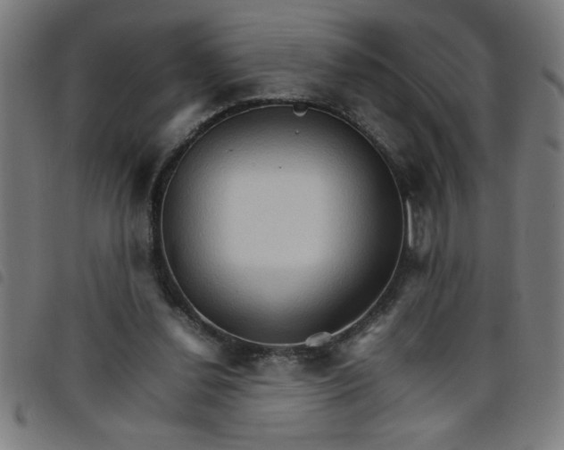 X0000098040252200804251046