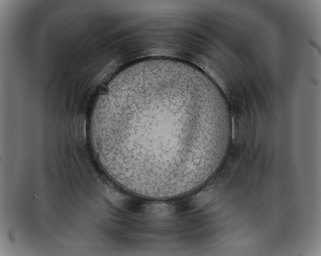 X0000098040253200804251046