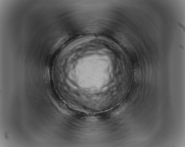 X0000098040254200804251046