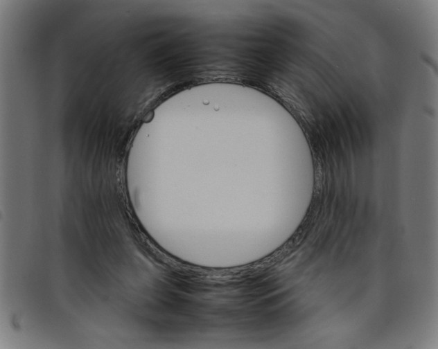 X0000098040255200804251046