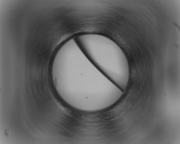 X0000098040256200804251046