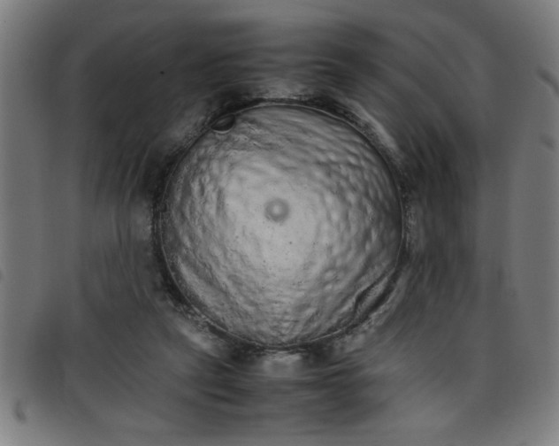 X0000098040257200804251046