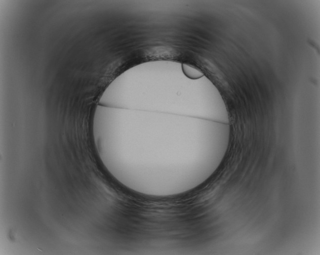 X0000098040259200804251046