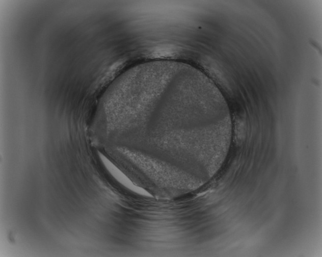 X0000098040260200804251046