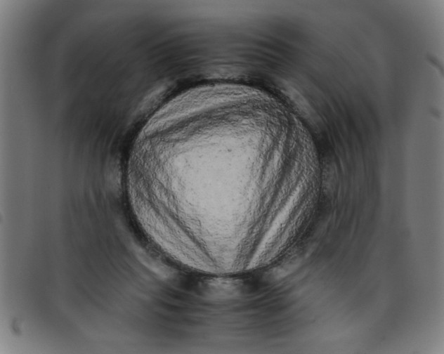 X0000098040261200804251046