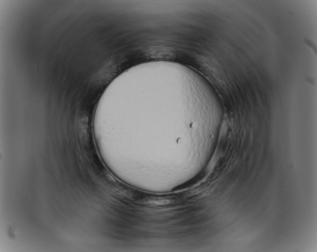 X0000098040263200804251046