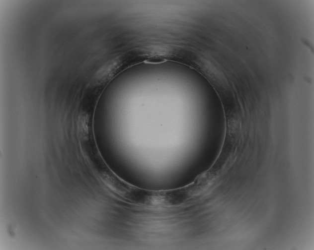 X0000098040264200804251046