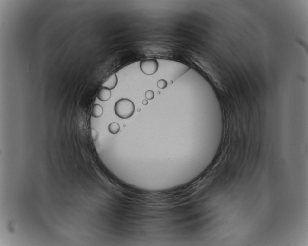 X0000098040265200804251046