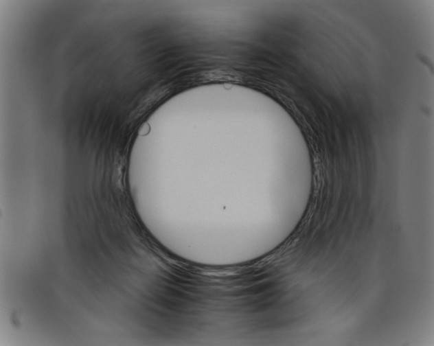 X0000098040266200804251046