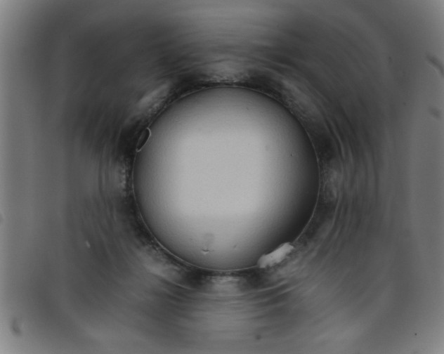 X0000098040268200804251046