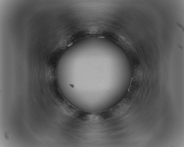 X0000098040272200804251046