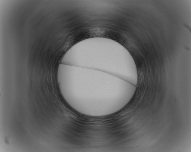 X0000098040274200804251046