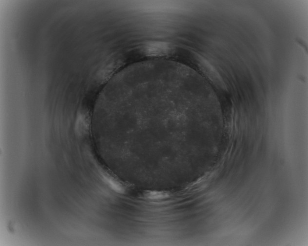 X0000098040277200804251046