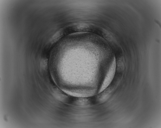 X0000098040278200804251046