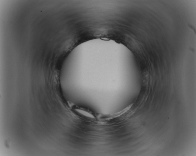 X0000098040280200804251046