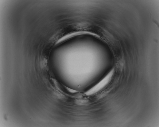 X0000098040281200804251046