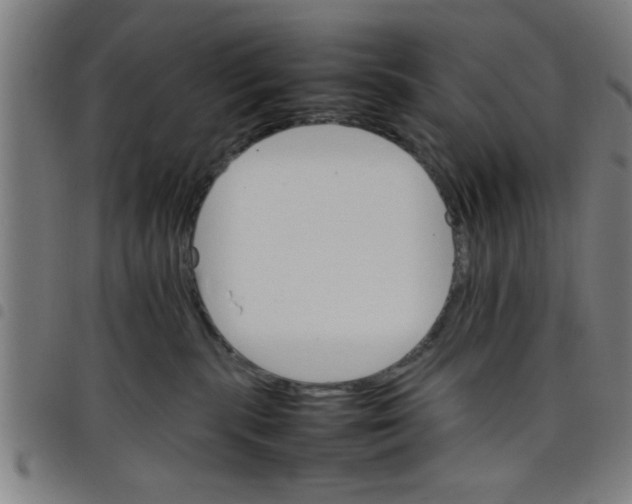 X0000098040283200804251047