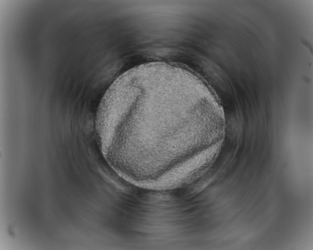 X0000098040284200804251047