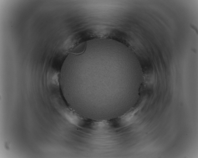 X0000098040286200804251047