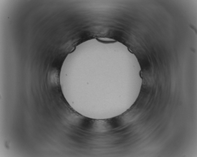 X0000098040287200804251047