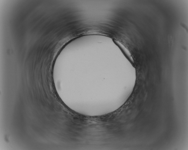 X0000098040289200804251046