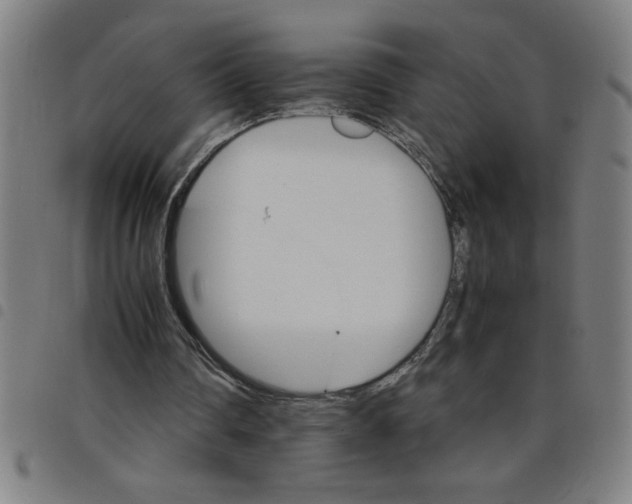 X0000098040290200804251046