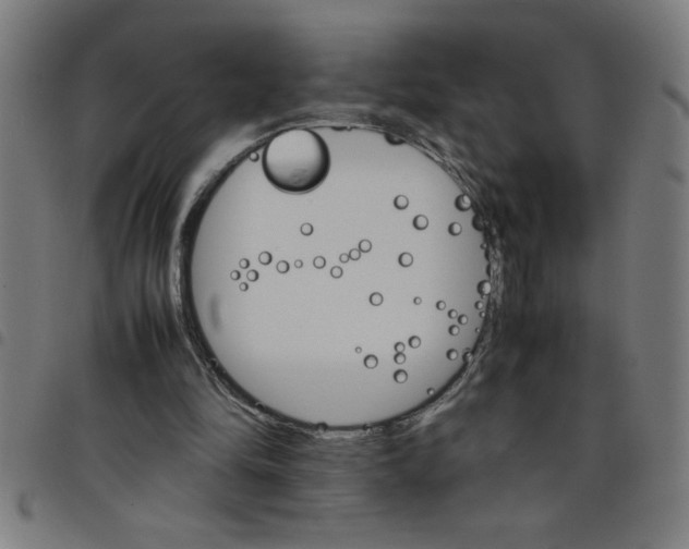 X0000098040294200804251046