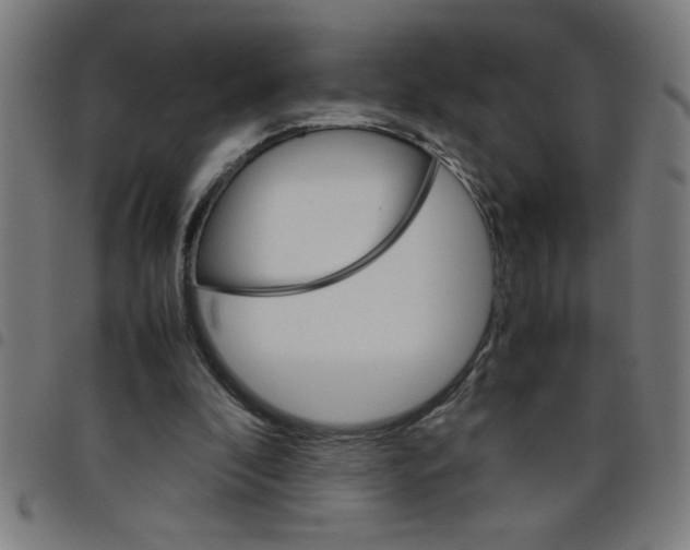 X0000098040296200804251046