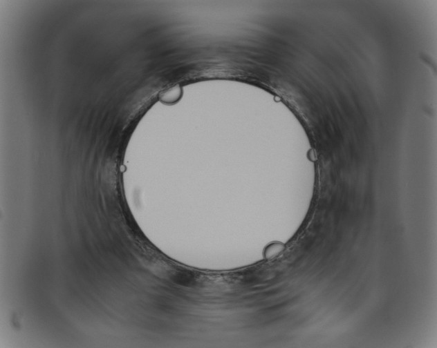 X0000098040297200804251046