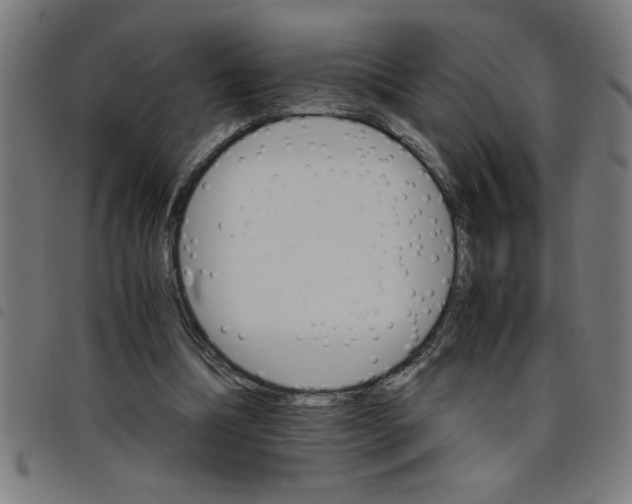 X0000098040298200804251046