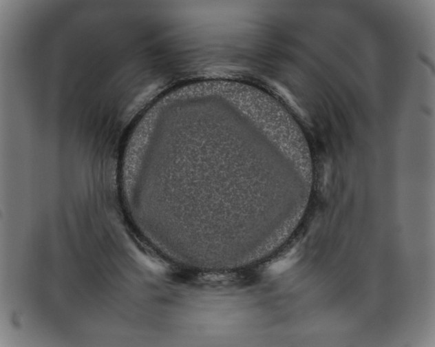 X0000098040299200804251046