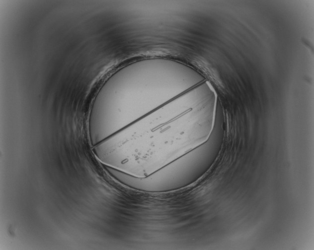 X0000098040300200804251046