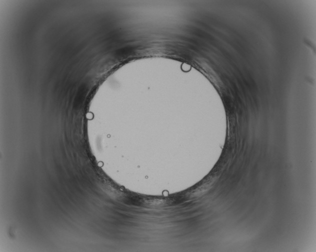 X0000098040301200804251046