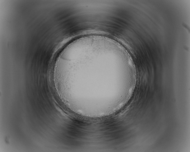 X0000098040302200804251046