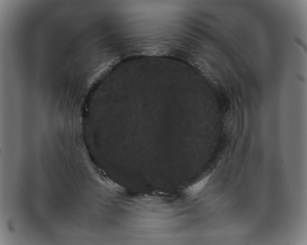 X0000098040303200804251046