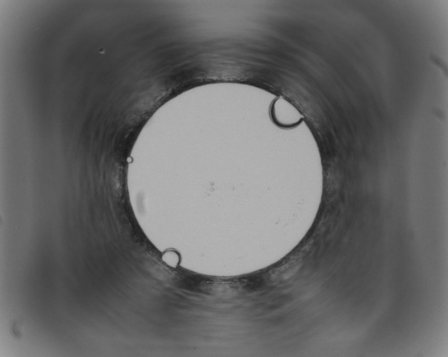 X0000098040305200804251046