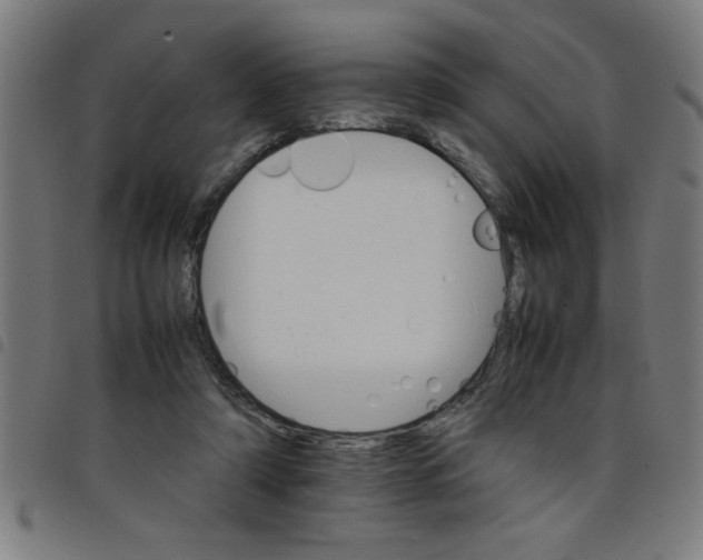 X0000098040306200804251046