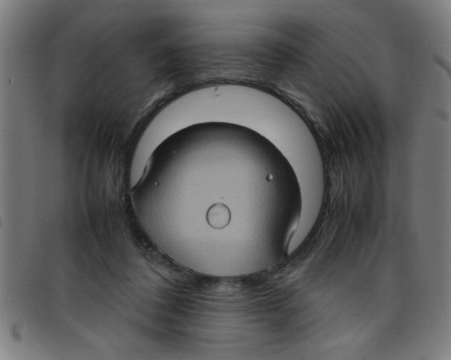 X0000098040308200804251046