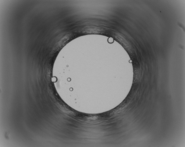 X0000098040309200804251046