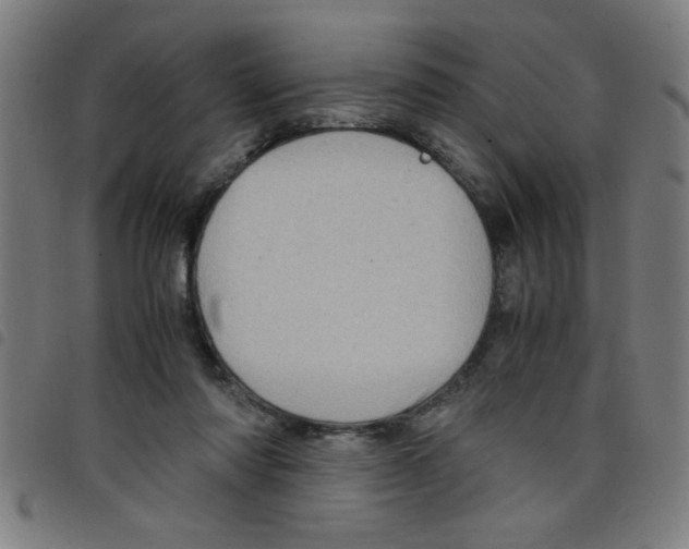 X0000098040310200804251046