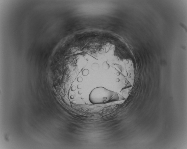 X0000098040311200804251046