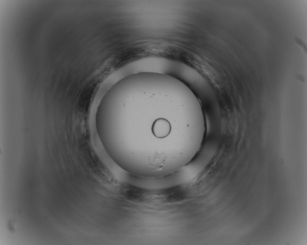 X0000098040313200804251045