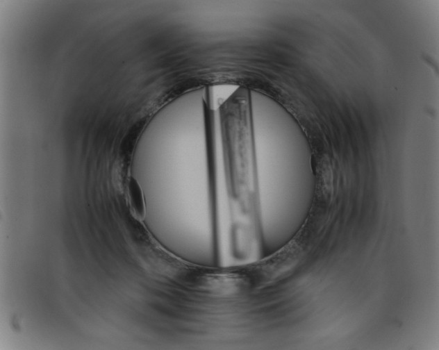 X0000098040316200804251045