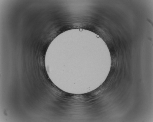 X0000098040317200804251045