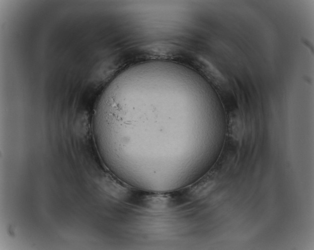 X0000098040318200804251045