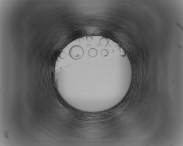 X0000098040319200804251045